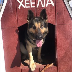 Meet your Posher, John